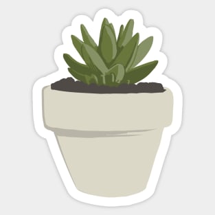 CNS Orostachys Fimbriata Sticker